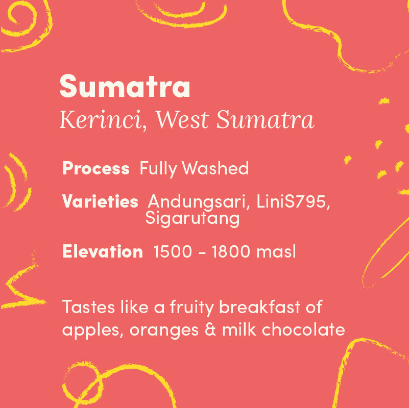 Sumatra, Kerinci